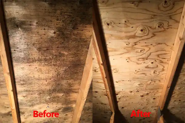 water damage restoration service Newland
